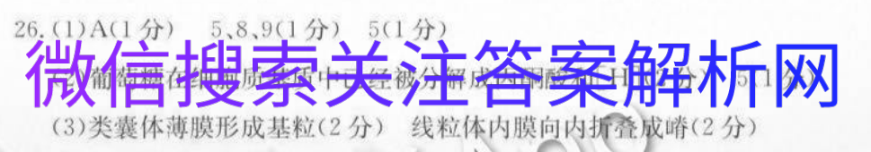 2021全国100所名校高考专项强化卷语文图片